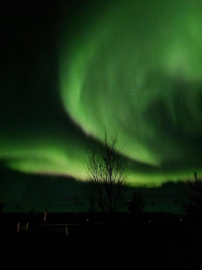 Kaldá Lyngholt Homes Egilsstaðir