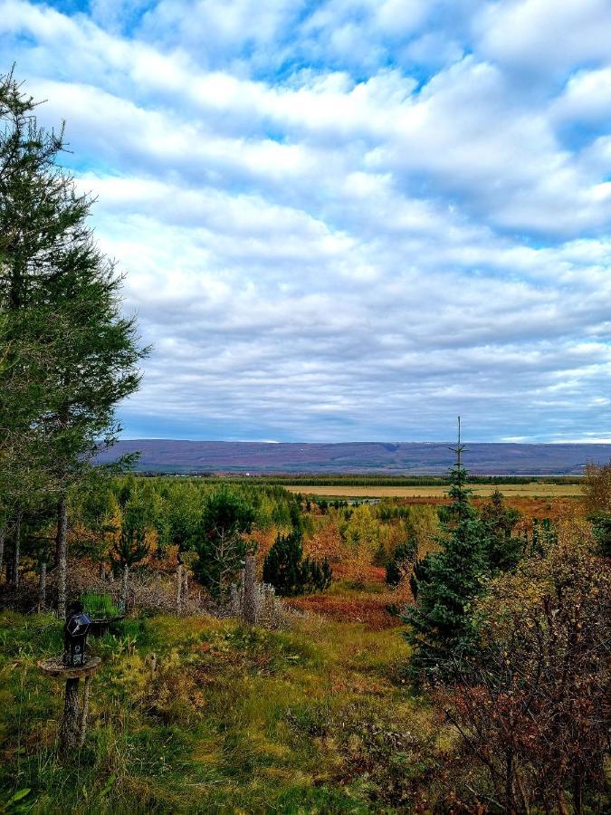 Kalda Lyngholt * Egilsstadir